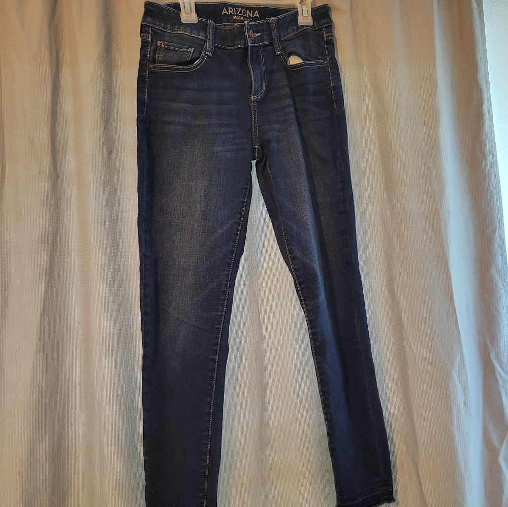 Arizona Jean Company Blue Skinny Jeans with Classic Fit